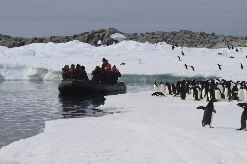 visit antarctica from new zealand