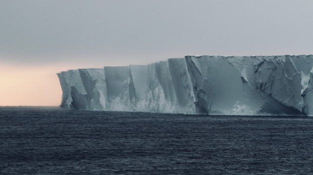 (c)_d.brown,_heritage_expeditions_-_ross_ice_shelf