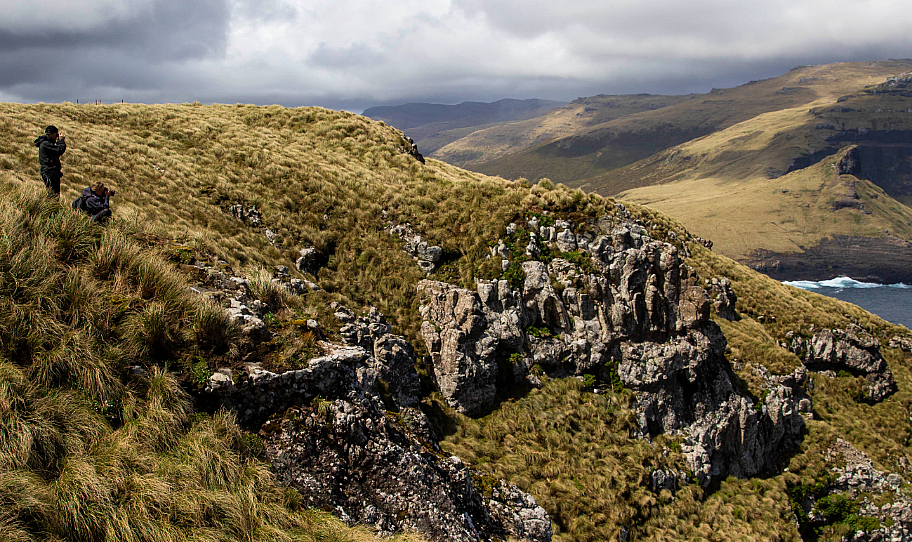 Excursion to Carnley Harbour, Auckland Islands with Heritage Expeditions