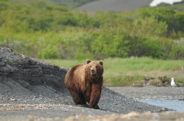 Siberia's Forgotten Coast