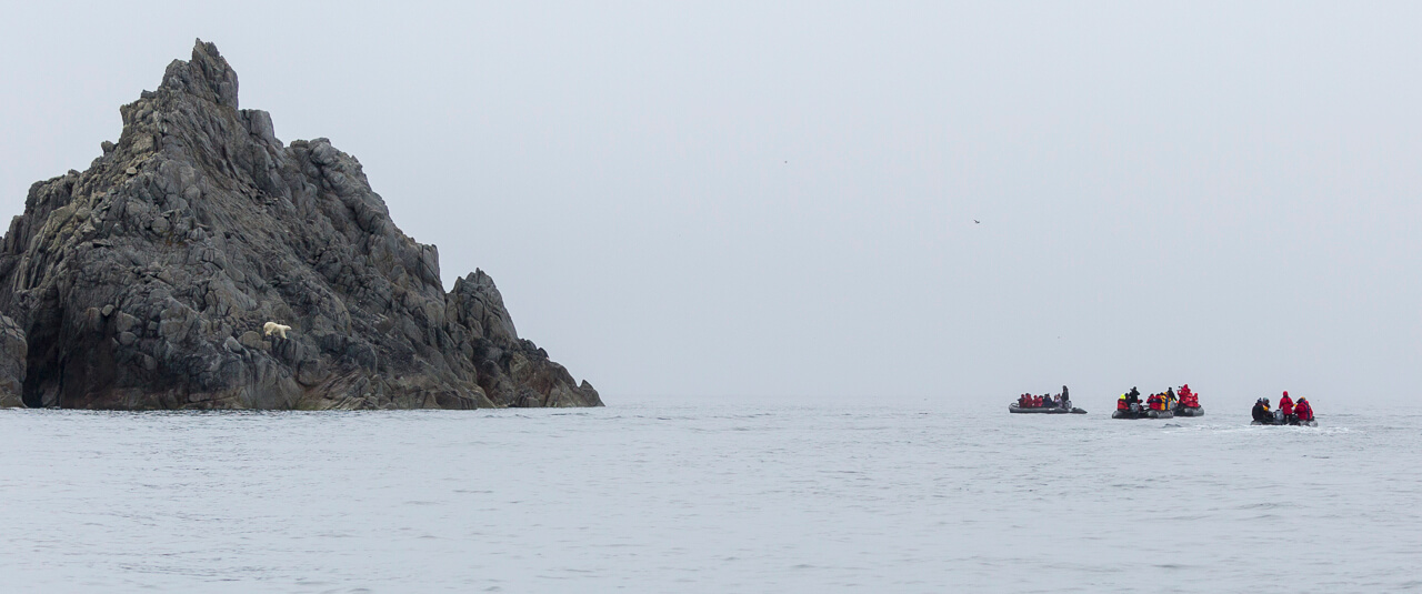 Polar Bear, Zodiacs, Herald Island_A.Breniere