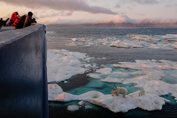 Wrangel Island: Across the Top of the World