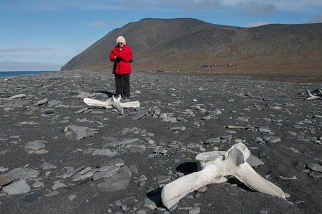 Mount Thomas, Cape Fomy. Wrangel Island. 1829