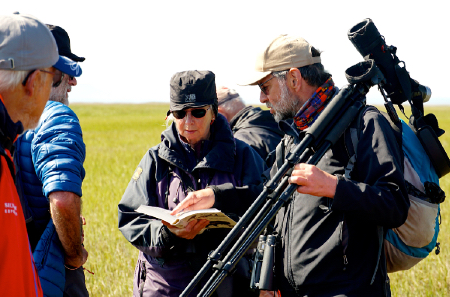 Christoph Zoeckler and travellers searching for Spoon-billed Sandpipers with Heritage Expeditions