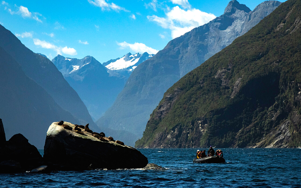 Zodiac Cruise Fiordland_Chris Todd