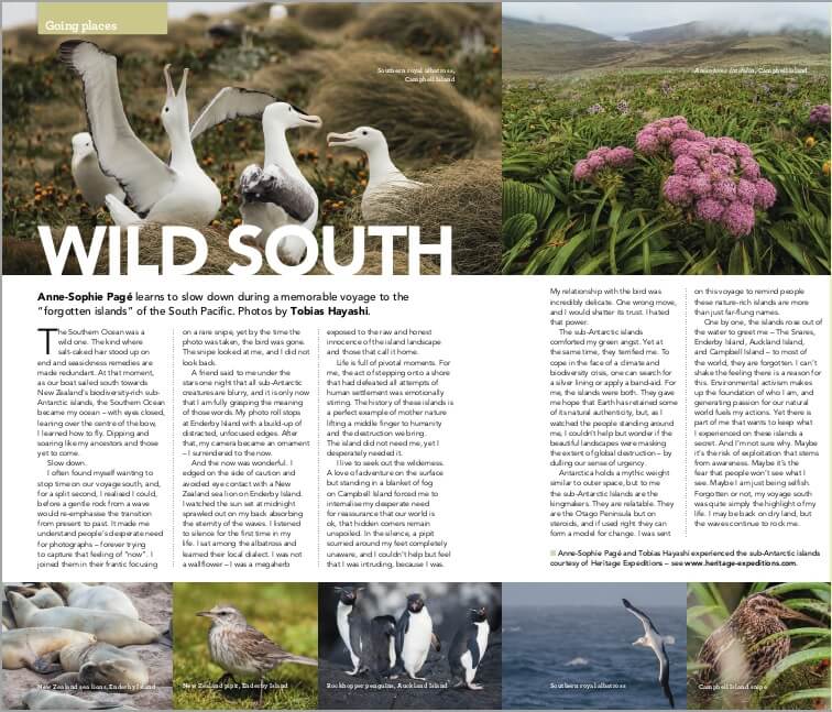 Forest and Bird article "Wild South"