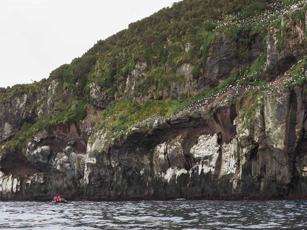 Zodiac cruising on coast of Campbell Island