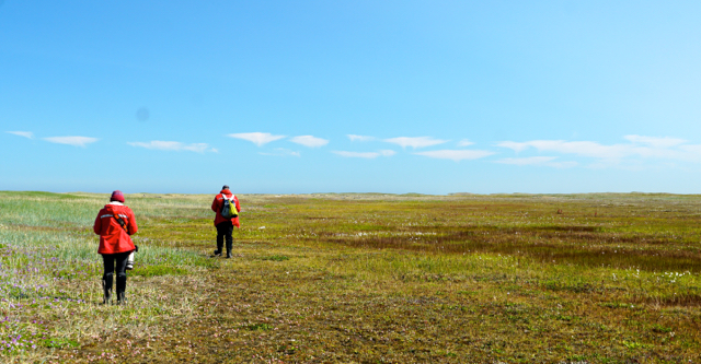 Koluchin Spit birders