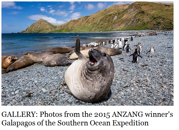 ANZANG Photographer of the Year Images