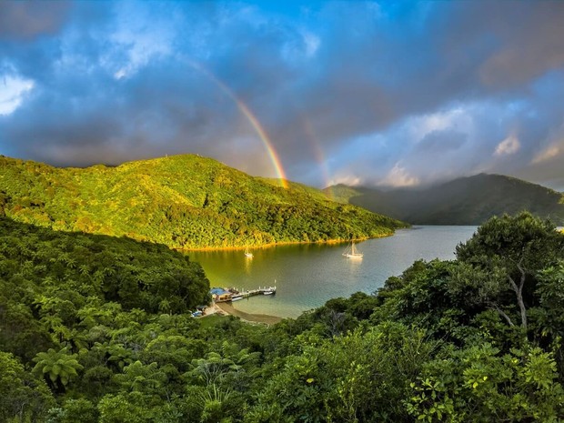 Marlborough Sounds, Image marlboroughnz.com