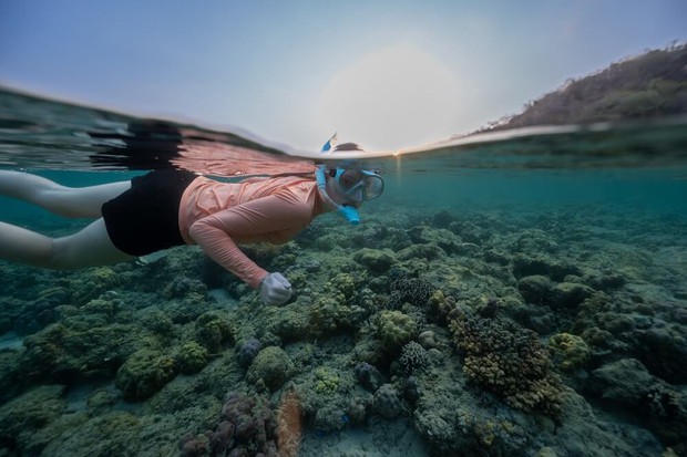 Sumbawa Island, Steve Bradley