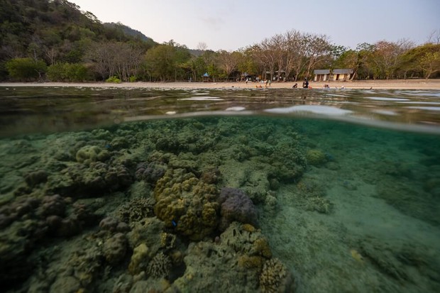Sumbawa Island, Steve Bradley