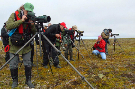 Searching for Spoon-billed Sandpipers in Kamchatka with Heritage Expeditions