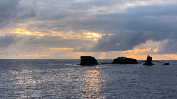 Maori Rocks, WPO