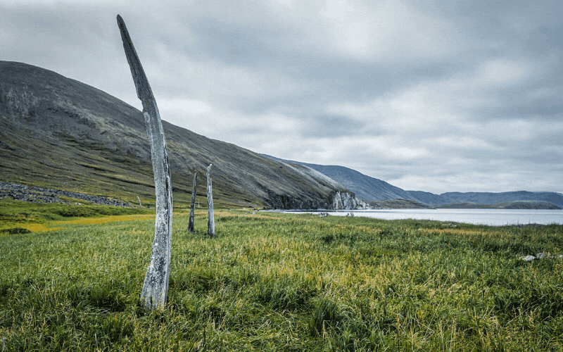Chukotka cruise photos of Whale Bone Alley excursion with Heritage Expeditions