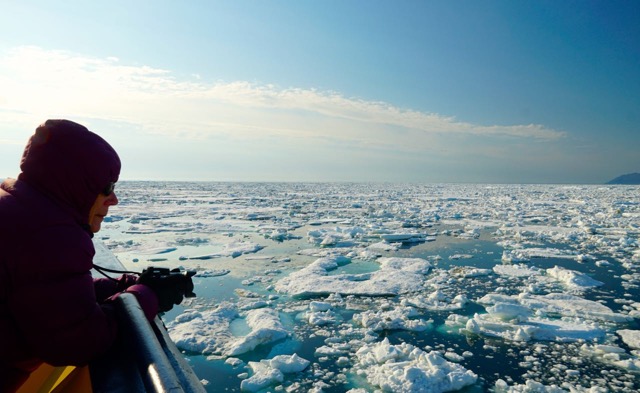 Sea Ice Near Wrangel Island