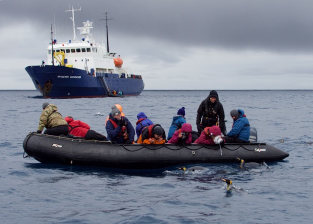 ©_d.brown,_heritage_expeditions_-_zodaic_with_penguins,_luistania_bay