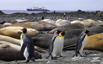 ©_i.wilson,_heritage_expeditions_-_macca