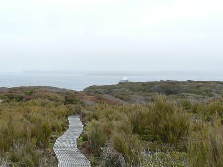 ©l.tough,_enderby_island