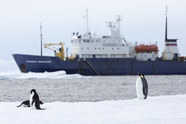 Akademik Shokalskiy in Antarctica_Image_S.Blanc